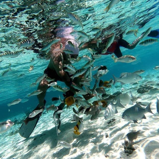 Una foto subacquea di persone di un viaggio di gruppo WeRoad che fanno snorkeling tra un grande banco di pesci in acqua cristallina turchese.