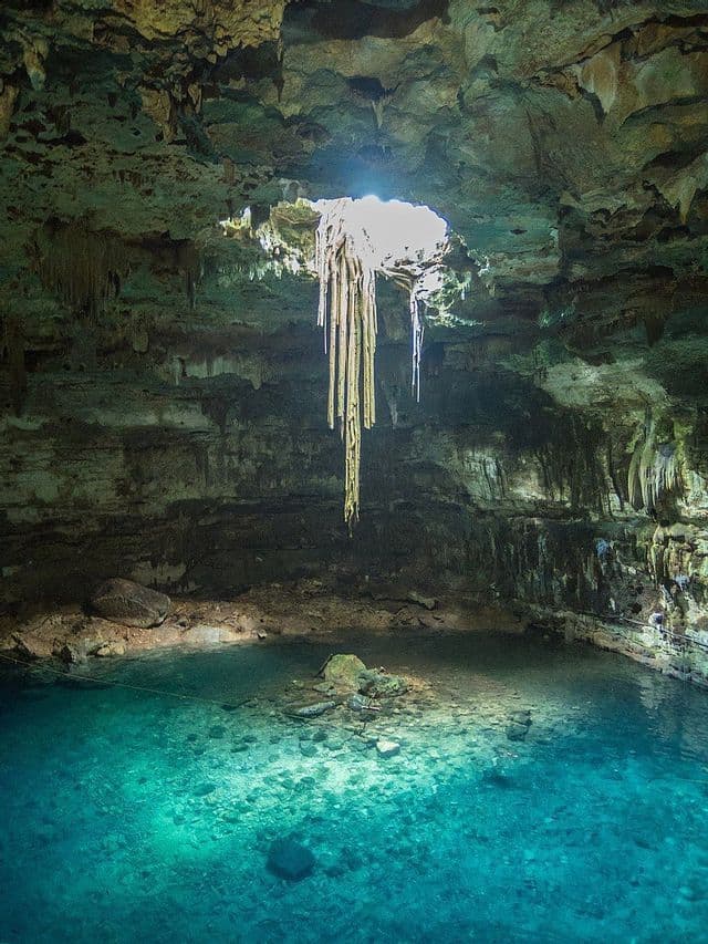 La luce del sole filtra attraverso un'apertura in una grotta rocciosa, illuminando lunghe radici che pendono in un cenote limpido e turchese.