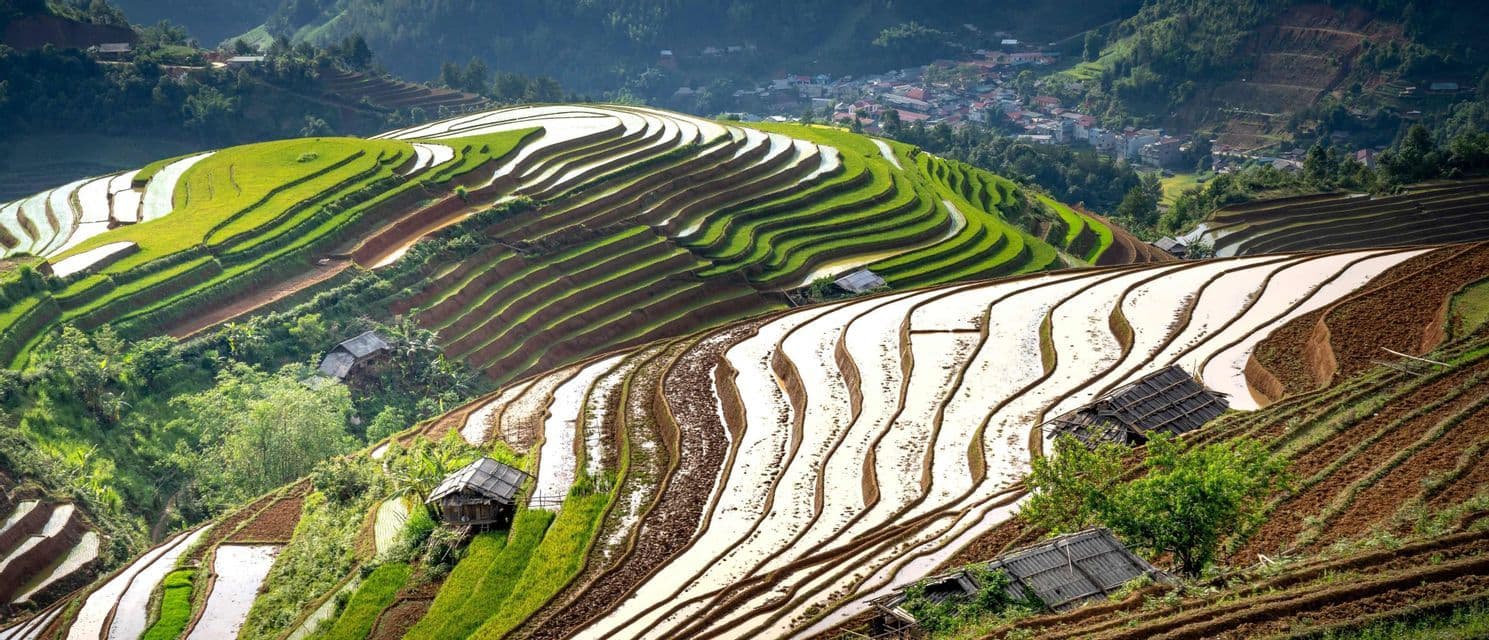 Verdi e lussureggianti risaie a terrazze, colme d'acqua, scendono a cascata lungo un fianco della montagna, con un piccolo villaggio annidato sullo sfondo.