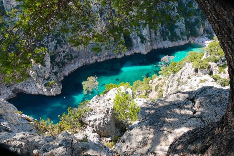 Vista dall'alto di una cala stretta e turchese, circondata da ripide scogliere bianche e pini verdi lussureggianti.