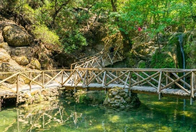 Un ponte e una passerella in legno si snodano attraverso una foresta verde, attraversando un ruscello limpido accanto a una piccola cascata.
