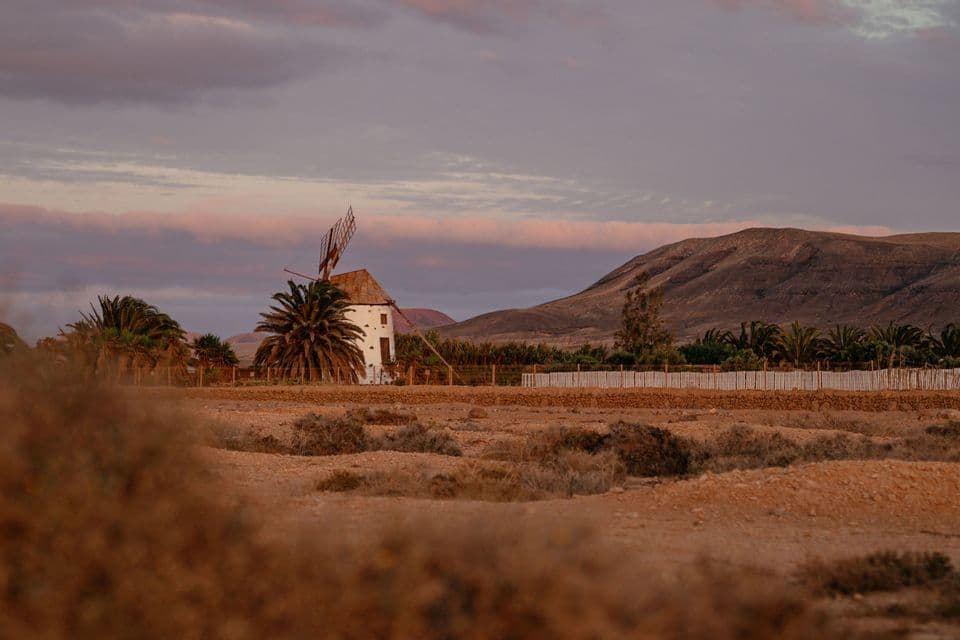 Un mulino a vento bianco con palme si erge in un paesaggio arido e collinare sotto un cielo rosa e viola al tramonto.