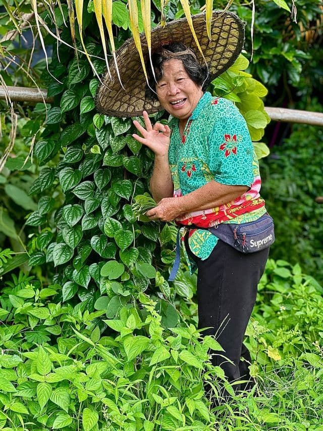 A smiling elderly woman in a woven hat makes an 'OK' sign with her hand while standing among lush green foliage.