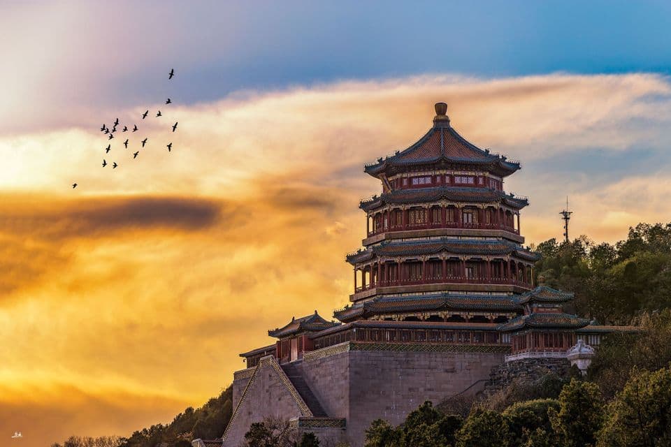 Una tradizionale pagoda cinese si erge su una collina boscosa, mentre uno stormo di uccelli attraversa un cielo dorato e blu al tramonto.