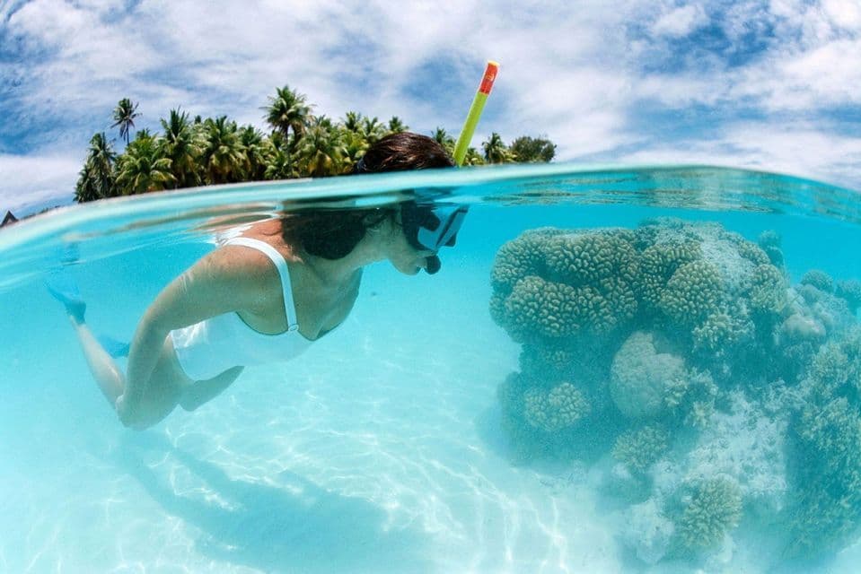 Une vue mi-aquatique mi-aérienne d'une femme faisant de la plongée avec tuba dans une eau cristalline au-dessus d'un récif de corail, avec une île tropicale en arrière-plan.