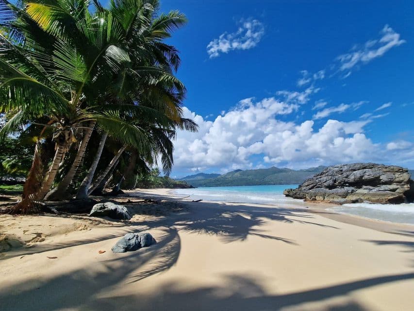 Des palmiers projettent de longues ombres sur une plage de sable bordant une eau turquoise, avec des montagnes au loin sous un ciel bleu et nuageux.