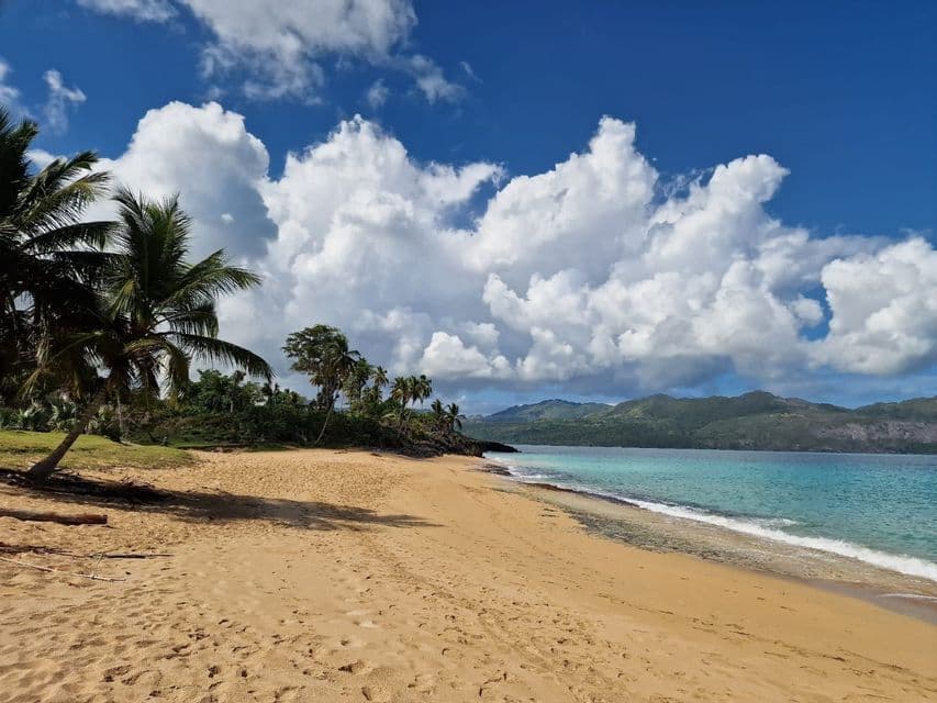 Une plage de sable immaculée, bordée de palmiers, rencontre l'océan turquoise, avec des montagnes verdoyantes au loin sous un ciel bleu parsemé de nuages.