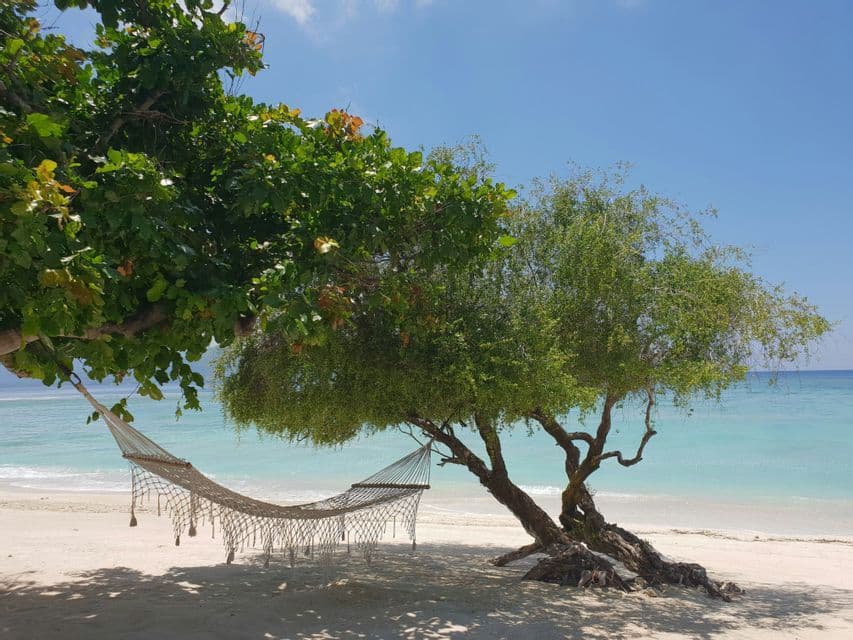 Un'amaca pende tra due alberi su una spiaggia sabbiosa accanto all'oceano turchese sotto un cielo azzurro chiaro.