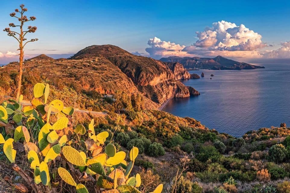 Il sole illumina fichi d'India su una collina che si affaccia su una costa rocciosa e un mare blu calmo.