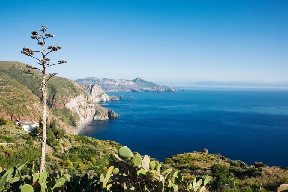 Una pianta di agave e fichi d'India su una verde collina che domina una costa ripida e rocciosa e un mare blu intenso.