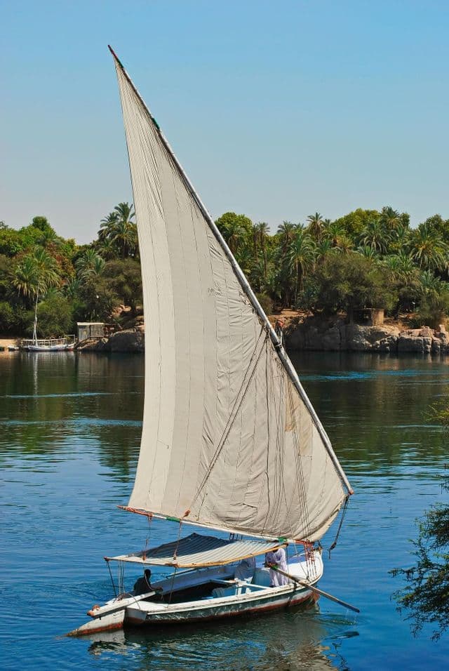 Una feluca a vela con una grande vela bianca scivola su un fiume calmo e blu, oltre una sponda lussureggiante di palme sotto un cielo sereno.