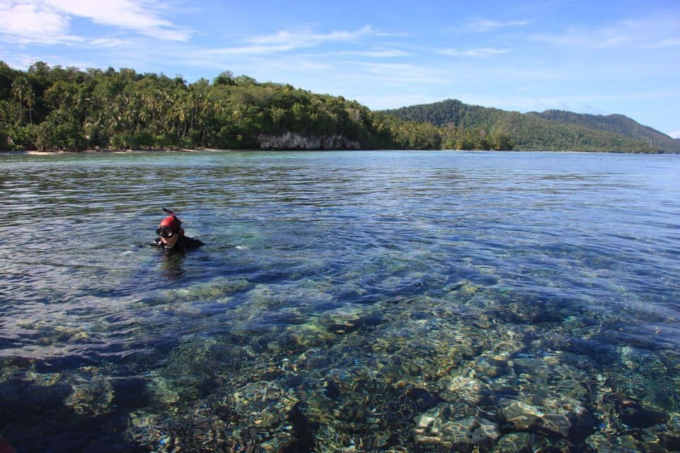 Una persona haciendo snorkel en aguas cristalinas cerca de una isla tropical bajo un cielo azul.