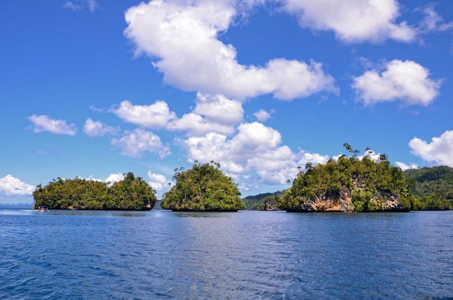 Varias pequeñas islas cubiertas de árboles salpican el océano azul bajo un cielo parcialmente nublado durante el día.