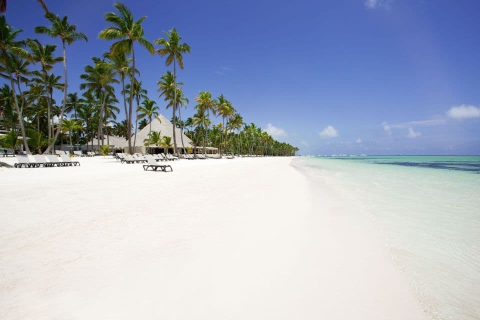 A wide, white sand beach lined with palm trees and lounge chairs next to clear turquoise ocean water.