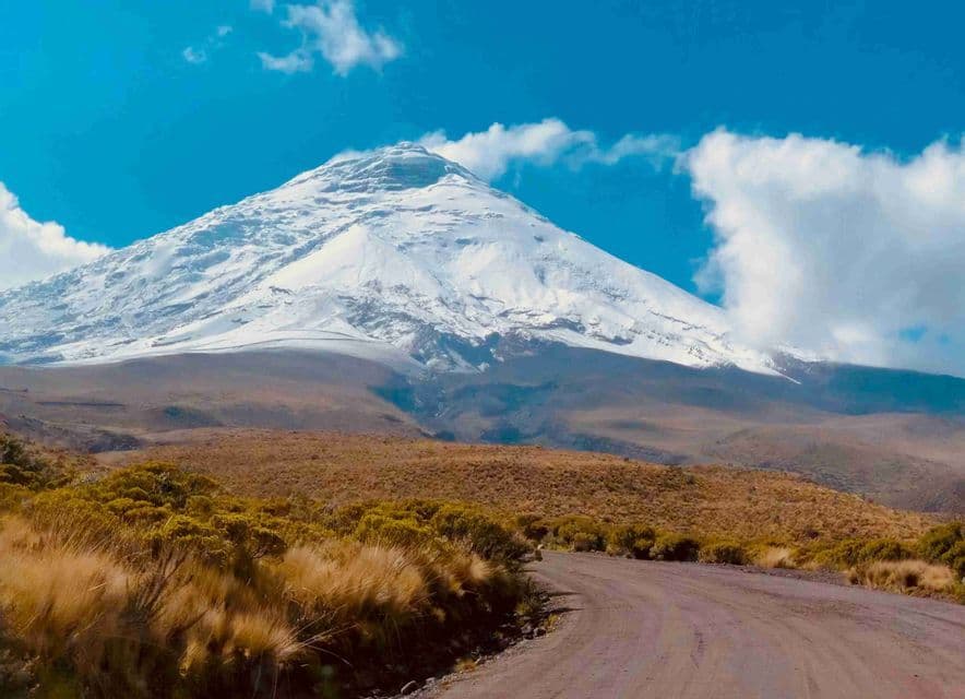 Un camino de tierra sinuoso atraviesa un paisaje seco y herboso hacia una gran montaña nevada bajo un cielo azul con nubes.