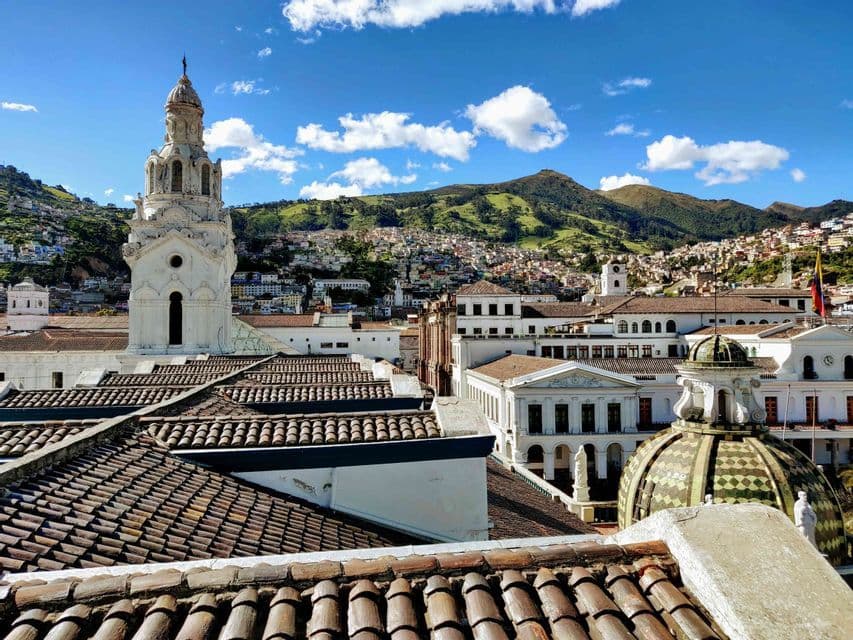 Una vista sobre los tejados de terracota de una ciudad con una torre de iglesia blanca y un edificio abovedado, con una montaña verde de fondo bajo un cielo azul.