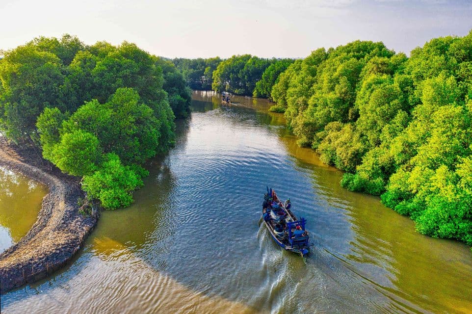 Una vista aérea de un barco con personas navegando por un río sinuoso flanqueado por densos bosques de manglares verdes.