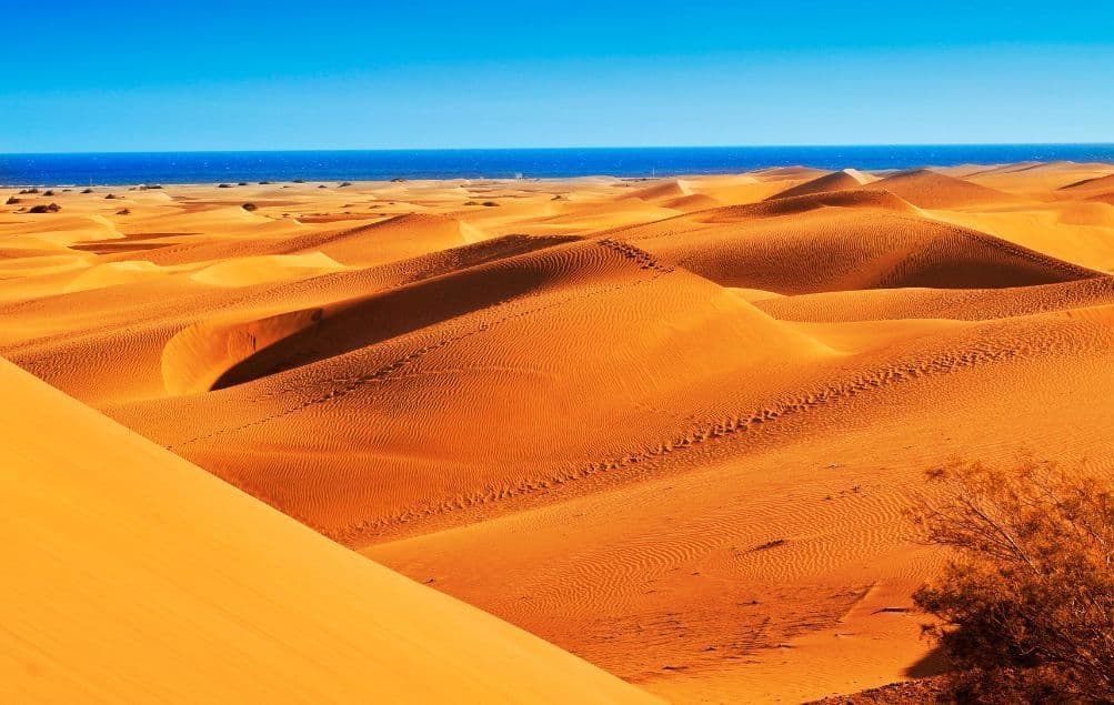Vaste dune di sabbia arancioni con increspature e impronte si estendono verso l'oceano blu sotto un cielo limpido.