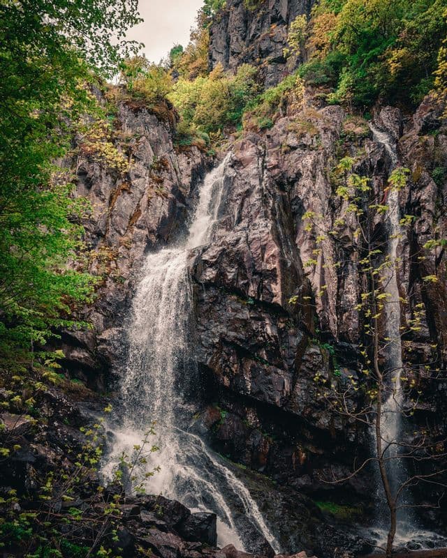 Una cascata scende lungo una parete rocciosa e scoscesa, incorniciata da una lussureggiante vegetazione verde e gialla sotto un cielo coperto.
