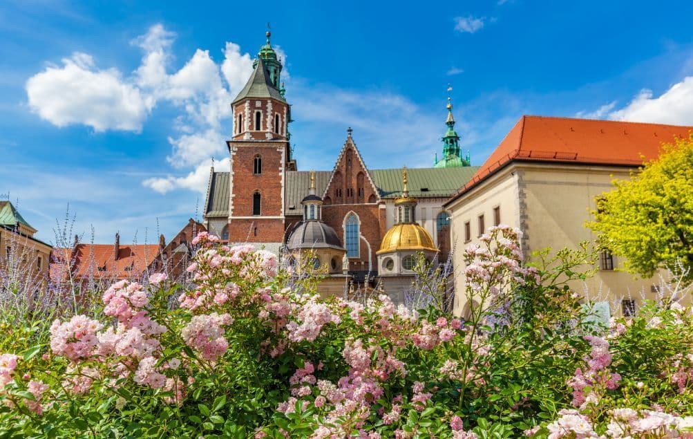 Eine historische Backsteinkathedrale mit grünen Türmen und einer goldenen Kuppel, gesehen hinter einem Garten mit blühenden rosa Rosen unter blauem Himmel.