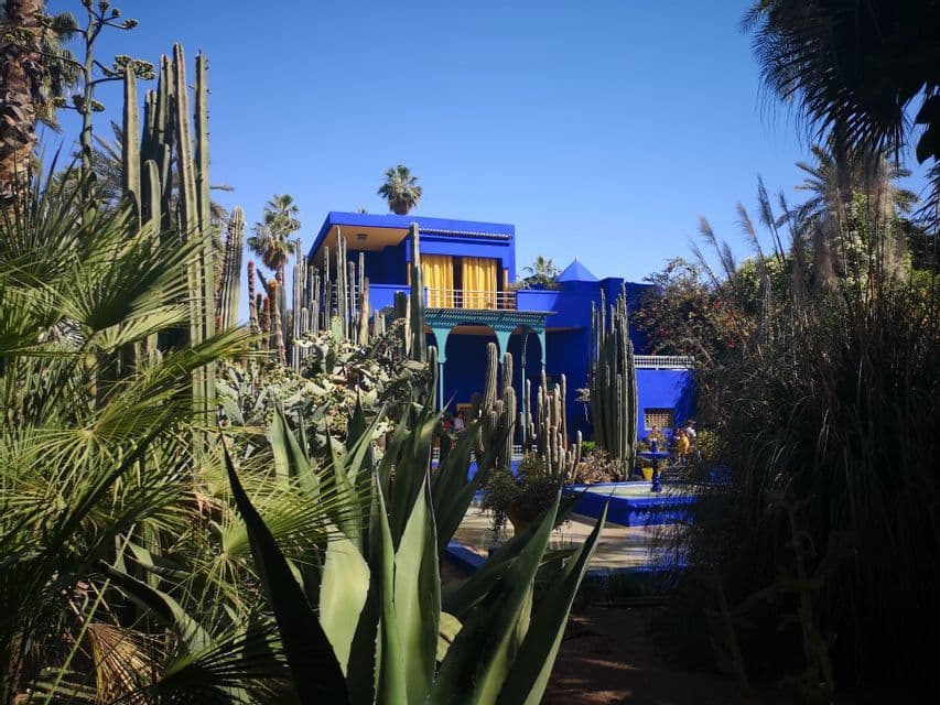 Un vivace edificio blu con accenti gialli si erge in un rigoglioso giardino pieno di alti cactus, agave e palme sotto un cielo sereno.