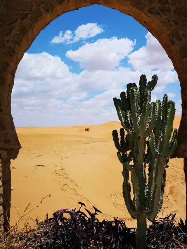 Un paesaggio desertico con dune di sabbia visto attraverso un arco di pietra, con un alto cactus in primo piano sotto un cielo blu e nuvoloso.