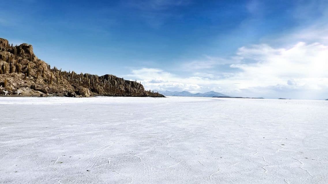 Una isla rocosa cubierta de altos cactus se alza al borde de un vasto salar blanco bajo un cielo azul.
