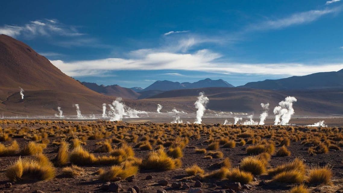 Géiseres liberan columnas de vapor a través de un valle árido con pasto amarillo y montañas distantes bajo un cielo azul.