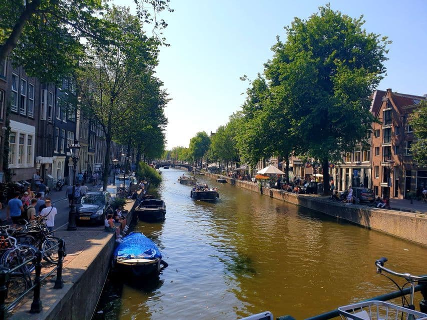 Barcos navegan por un canal de la ciudad bordeado de edificios altos y árboles verdes en un día soleado.