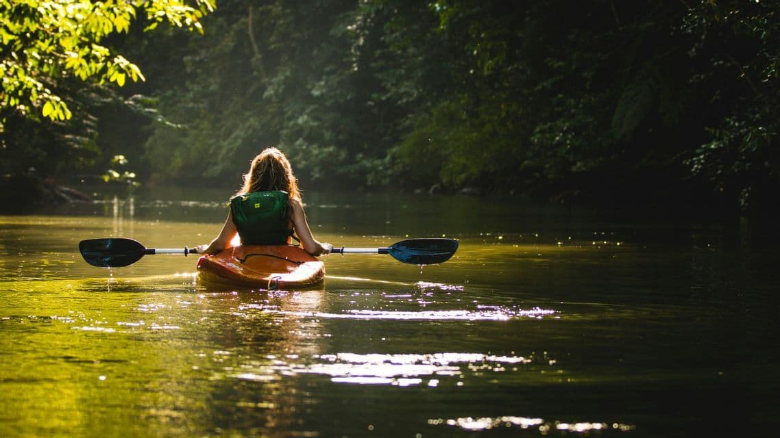 Una persona vista de espaldas, remando en kayak en un río tranquilo rodeado de un bosque exuberante y soleado.