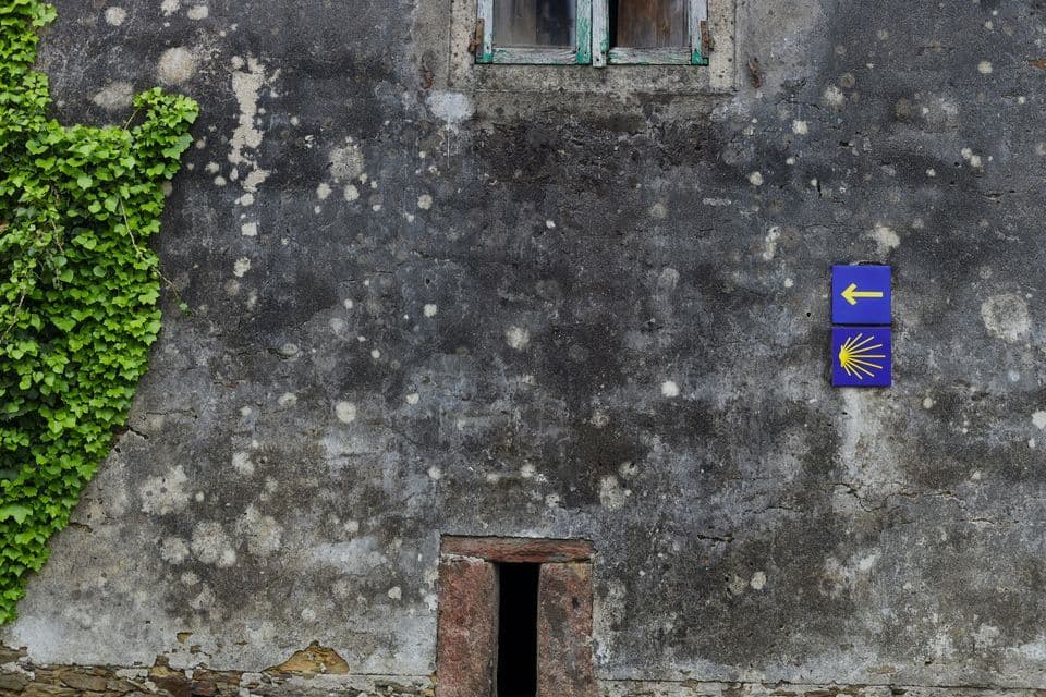 Un cartel azul del Camino de Santiago con una flecha amarilla y una concha de vieira está en un muro de piedra desgastado junto a hiedra verde.
