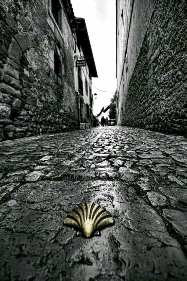 Fotografía en blanco y negro, en contrapicado, de una concha de vieira dorada incrustada en una calle adoquinada en un callejón estrecho.