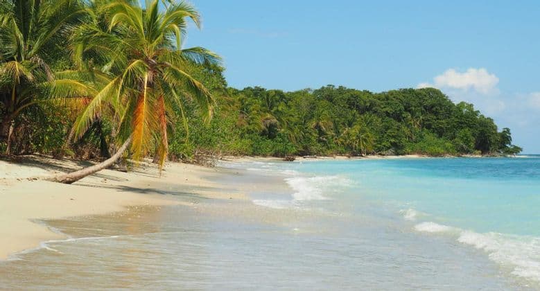 Ein weißer Sandstrand mit schiefen Palmen, türkisfarbenem Wasser und einem üppigen grünen Wald unter strahlend blauem Himmel.