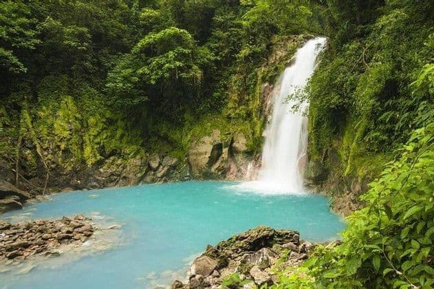 Ein Wasserfall stürzt eine moosbewachsene Klippe hinab in ein leuchtend türkises Becken, umgeben von dichtem, grünem Dschungel.