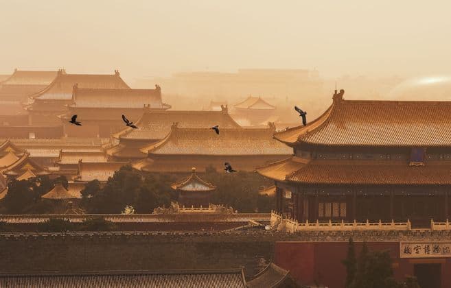 Aves vuelan sobre los extensos tejados de tejas doradas de un complejo palaciego tradicional bajo un cielo brumoso y ámbar.