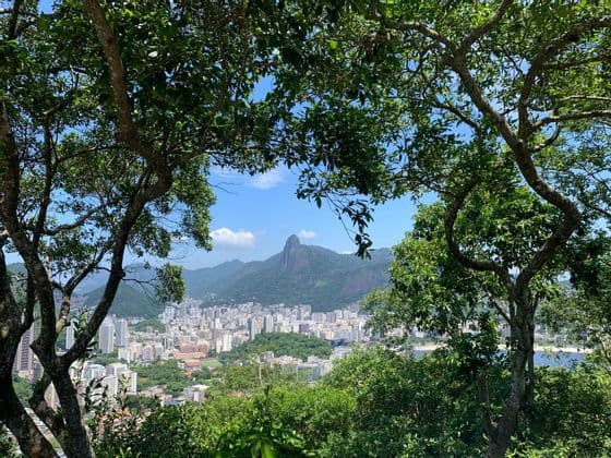 Una vasta città ai piedi di lussureggianti montagne verdi, incorniciata da rami d'albero contro un cielo blu.