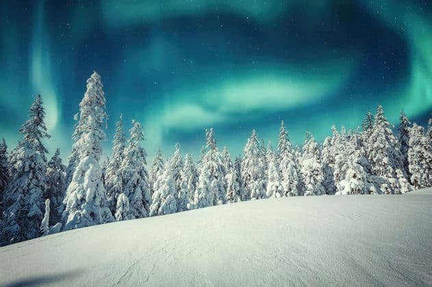 L'aurora boreale risplende in un cielo stellato sopra una foresta di pini coperti di neve.