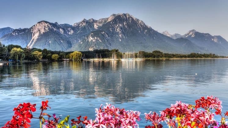 Im Vordergrund rote Blumen, dahinter ein ruhiger See mit festgemachten Segelbooten und im Hintergrund eine imposante Bergkette.