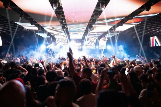 Una gran multitud de personas vistas de espaldas, bailando con las manos levantadas en un concierto con luces de escenario brillantes y humo.