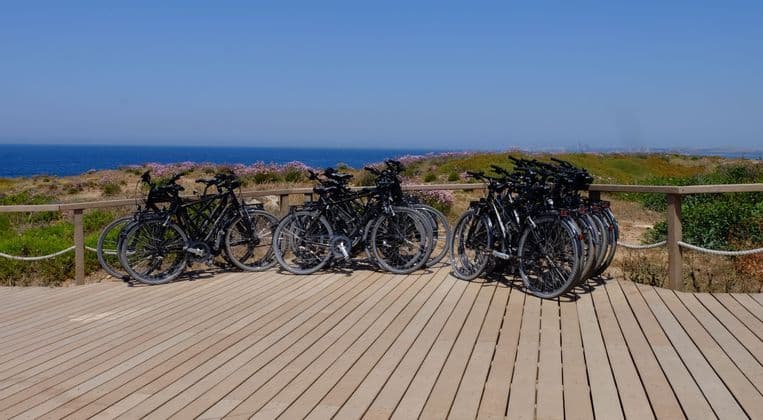 Diverse biciclette nere sono parcheggiate su una passerella di legno con vista su un litorale fiorito di viola e il mare.