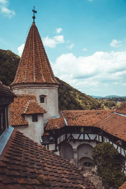 A high-angle view of a historic castle's red-tiled roofs and a conical tower, with a forested hill under a cloudy blue sky.