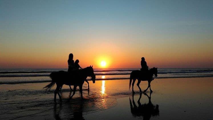 A WeRoad group trip riding horses on a wet beach, silhouetted against the setting sun over the ocean.
