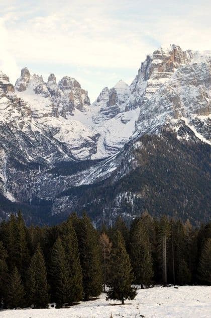 Jagged mountain peaks covered in snow rise above a dense pine forest under a cloudy sky.