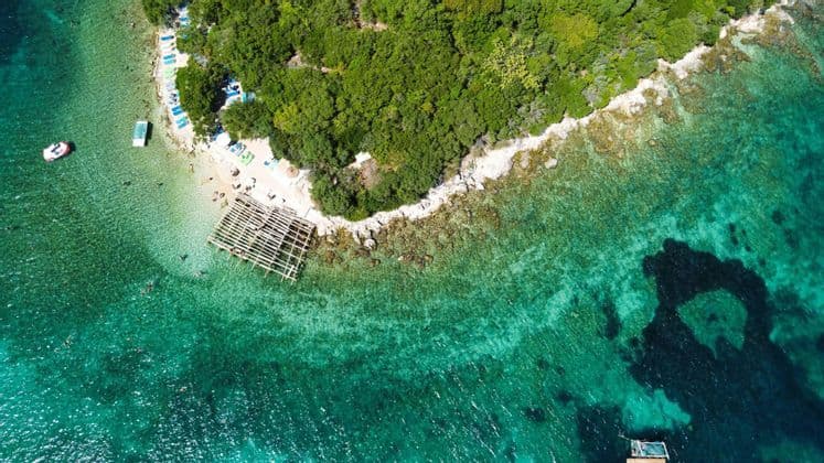 Una vista aerea dall'alto di un litorale con una piccola spiaggia, persone che nuotano in acqua turchese e una lussureggiante foresta verde.