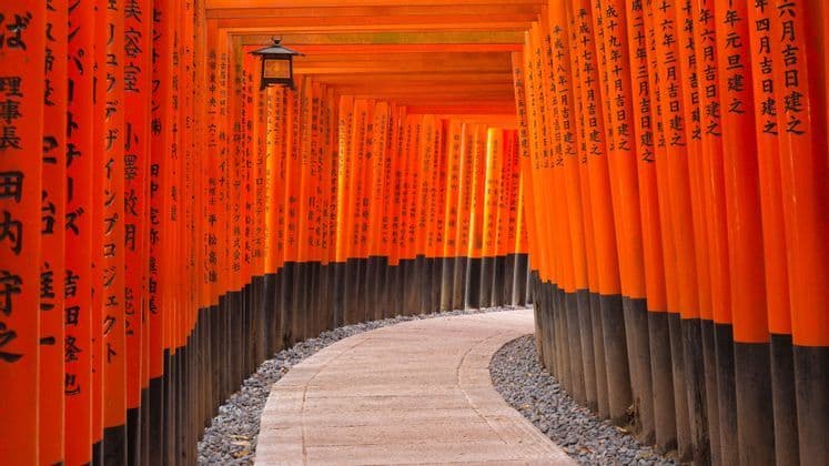 A curving stone path leads through a corridor of bright orange Torii gates inscribed with Japanese calligraphy.
