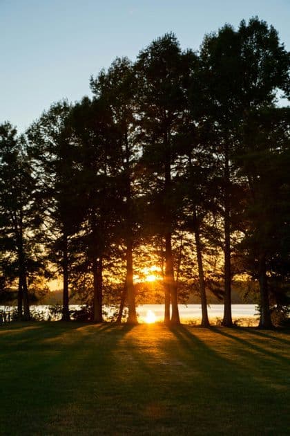 Le soleil couchant brille à travers les arbres en contre-jour, projetant de longues ombres sur une pelouse verdoyante au bord d'un lac.