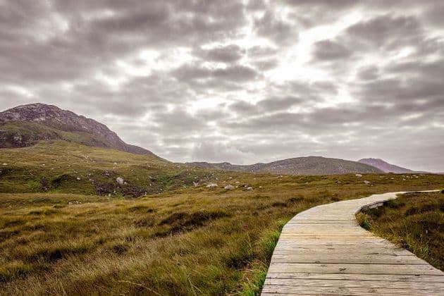 Une promenade en bois serpente à travers un paysage herbeux avec des collines ondulantes sous un ciel nuageux.