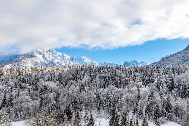 Una fitta foresta di pini coperti di neve si trova di fronte a una catena montuosa innevata sotto un cielo parzialmente nuvoloso.