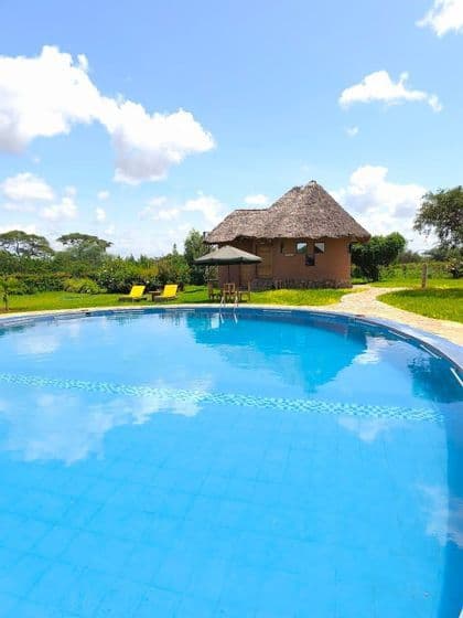 Una piscina curva frente a una cabaña tradicional con techo de paja en un césped verde bajo un cielo azul con nubes.