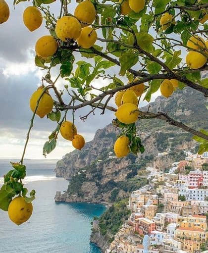Una rama de limonero con limones maduros domina un pueblo colorido construido en un acantilado junto al mar.